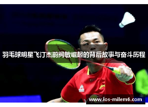 羽毛球明星飞汀杰蔚阀敏崛起的背后故事与奋斗历程
