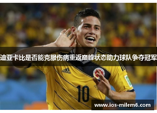 迪亚卡比是否能克服伤病重返巅峰状态助力球队争夺冠军