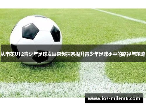 从申花U12青少年足球发展谈起探索提升青少年足球水平的路径与策略