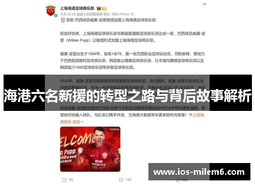 海港六名新援的转型之路与背后故事解析