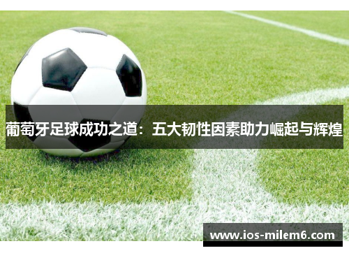 葡萄牙足球成功之道：五大韧性因素助力崛起与辉煌