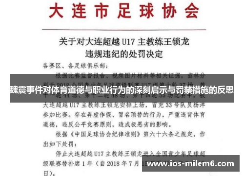 魏震事件对体育道德与职业行为的深刻启示与罚禁措施的反思