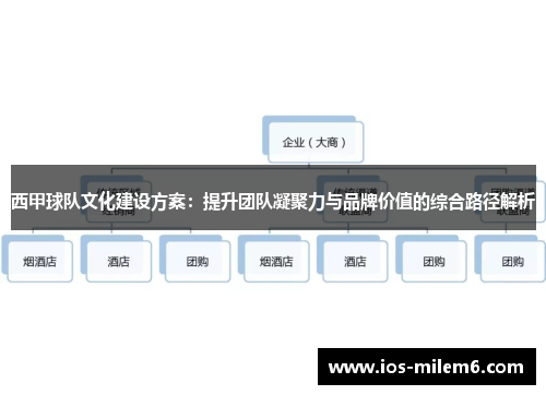 西甲球队文化建设方案：提升团队凝聚力与品牌价值的综合路径解析