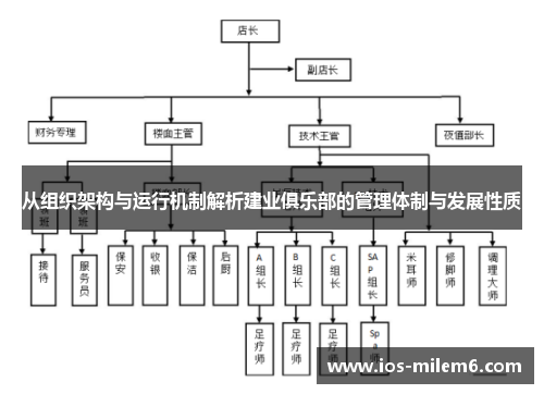 从组织架构与运行机制解析建业俱乐部的管理体制与发展性质