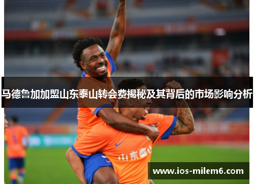 马德鲁加加盟山东泰山转会费揭秘及其背后的市场影响分析