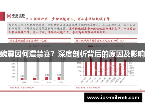 魏震因何遭禁赛？深度剖析背后的原因及影响